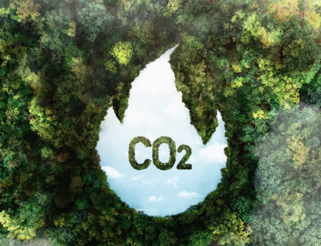 Климат и въглероден отпечатък - оценка и управление